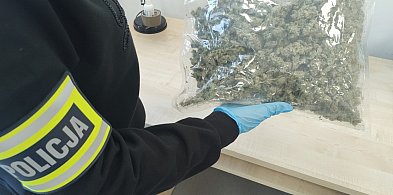 Pół kilograma narkotyków zabezpieczone podczas kontroli drogowej-2630